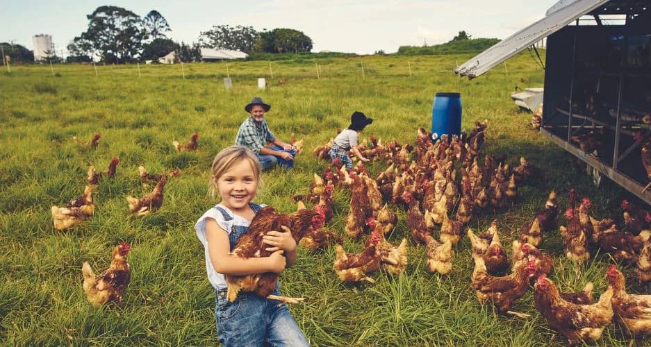 Boy caring for chickens on the farm