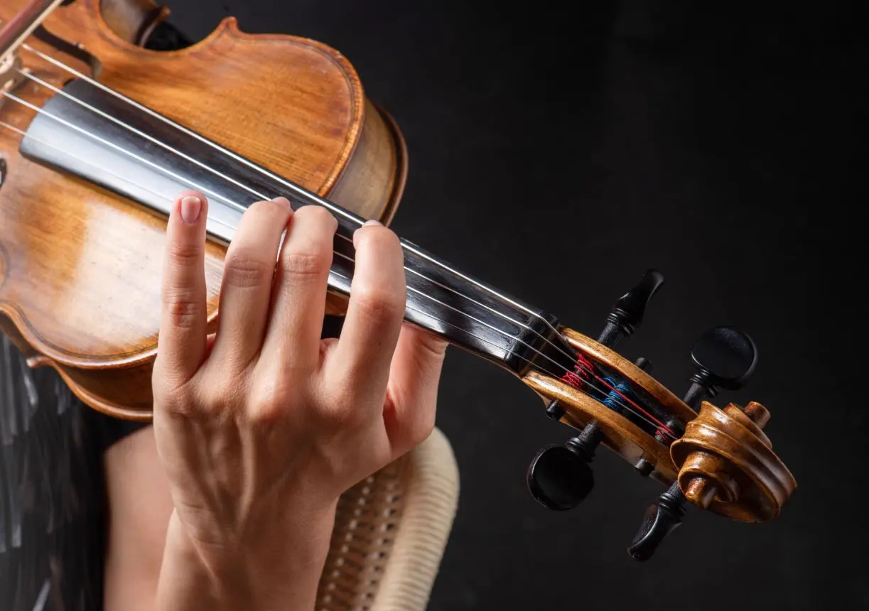 Violin strings close-up