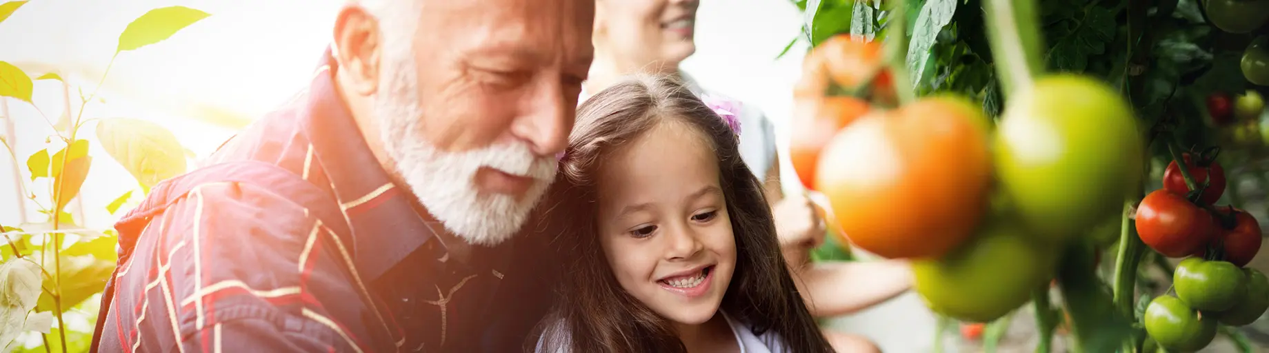 Tax, Accounting, Consulting & Superannuation