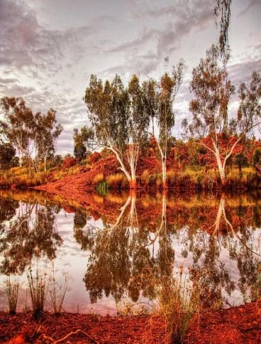 Begins serving Traditional Owners as the Trustee for Charitable and Direct Benefit Indigenous Trusts